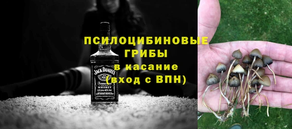 индика Киренск