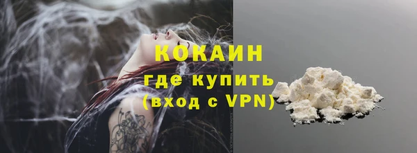 индика Киренск