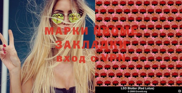 твердый Козловка