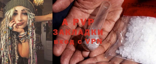 индика Киренск