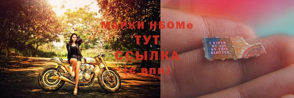 индика Киренск